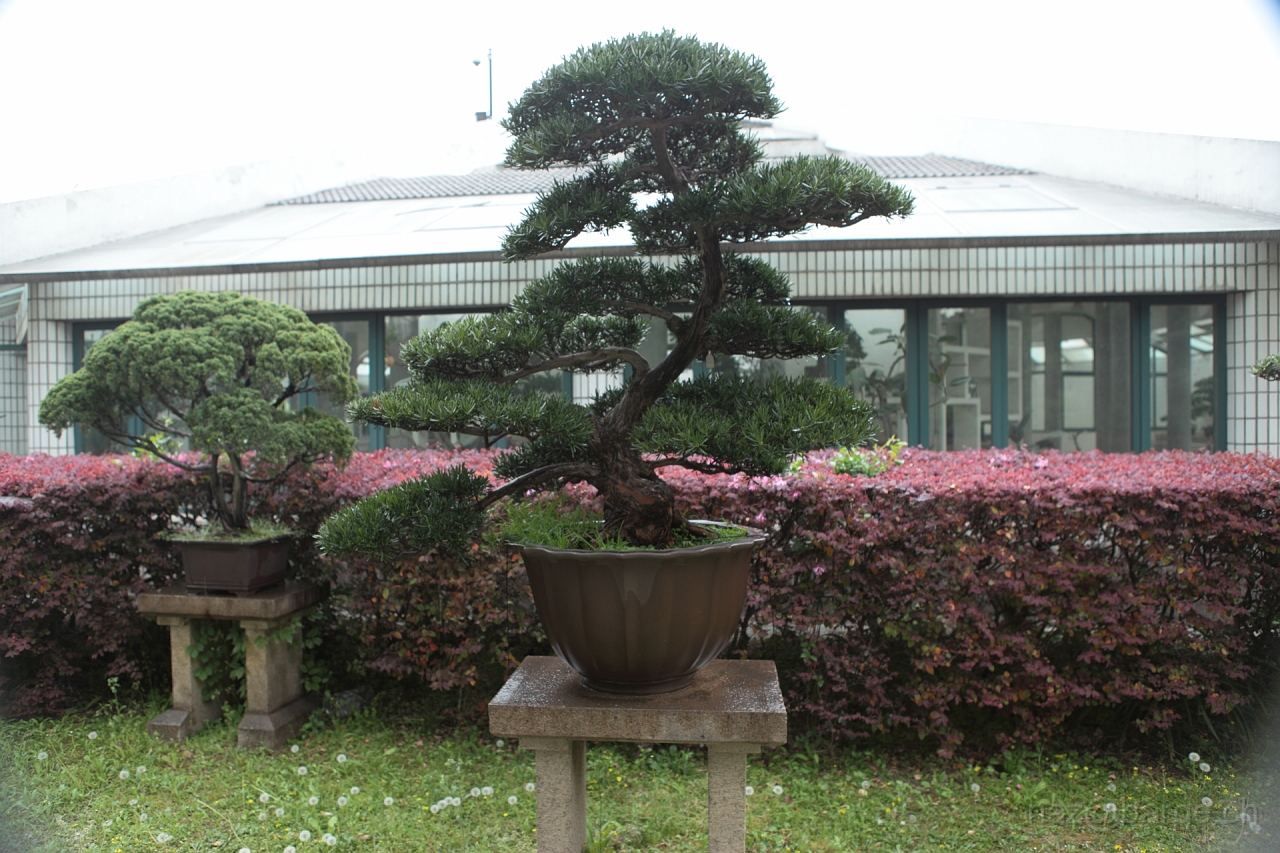 EOS 5D Mark II16_04_20135064.JPG